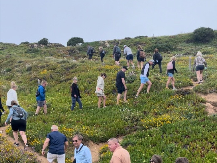 People-Walking-up-Sandy-Path-1