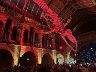 Natural History Museum 2