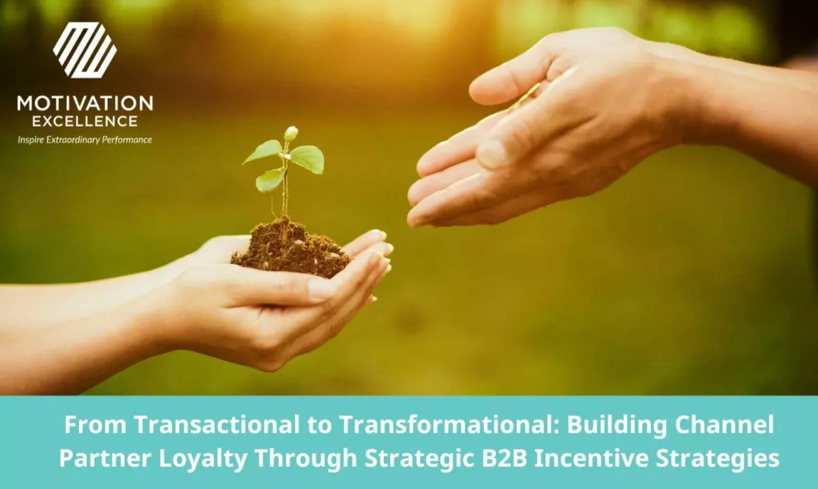 One hand gives a mound of dirt with a plant growing to another set of cupped hands.